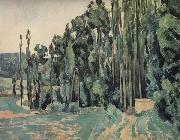 The Poplars Paul Cezanne